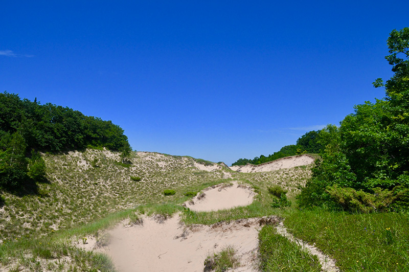 Arcadia Dunes Baldy Trails